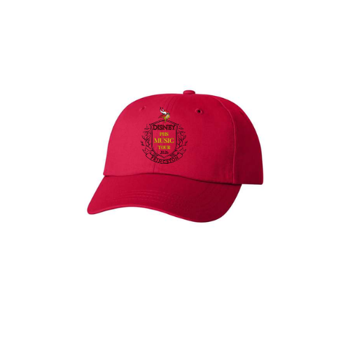 Disney 2026 Hat