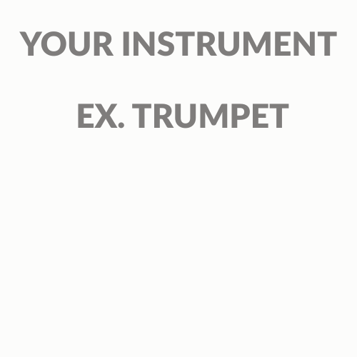 YOUR INSTRUMENT