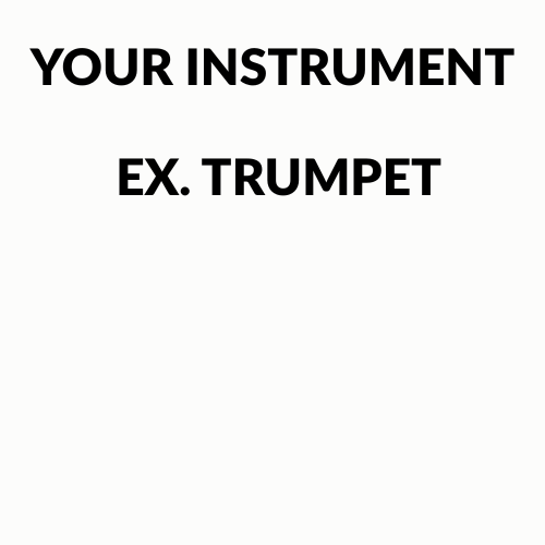 YOUR INSTRUMENT