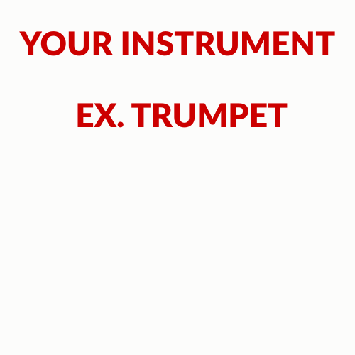 YOUR INSTRUMENT