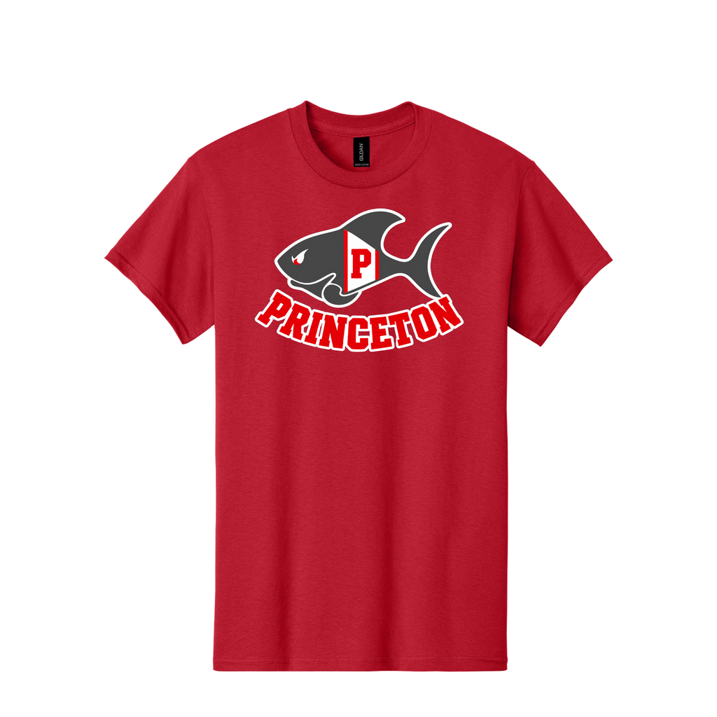 Vintage Princeton Aquatics T-Shirt 1